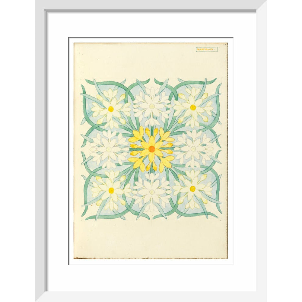 Narcissus - Art print