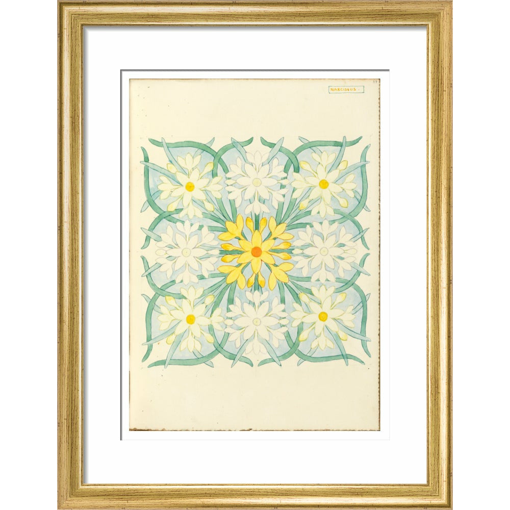 Narcissus - Art print