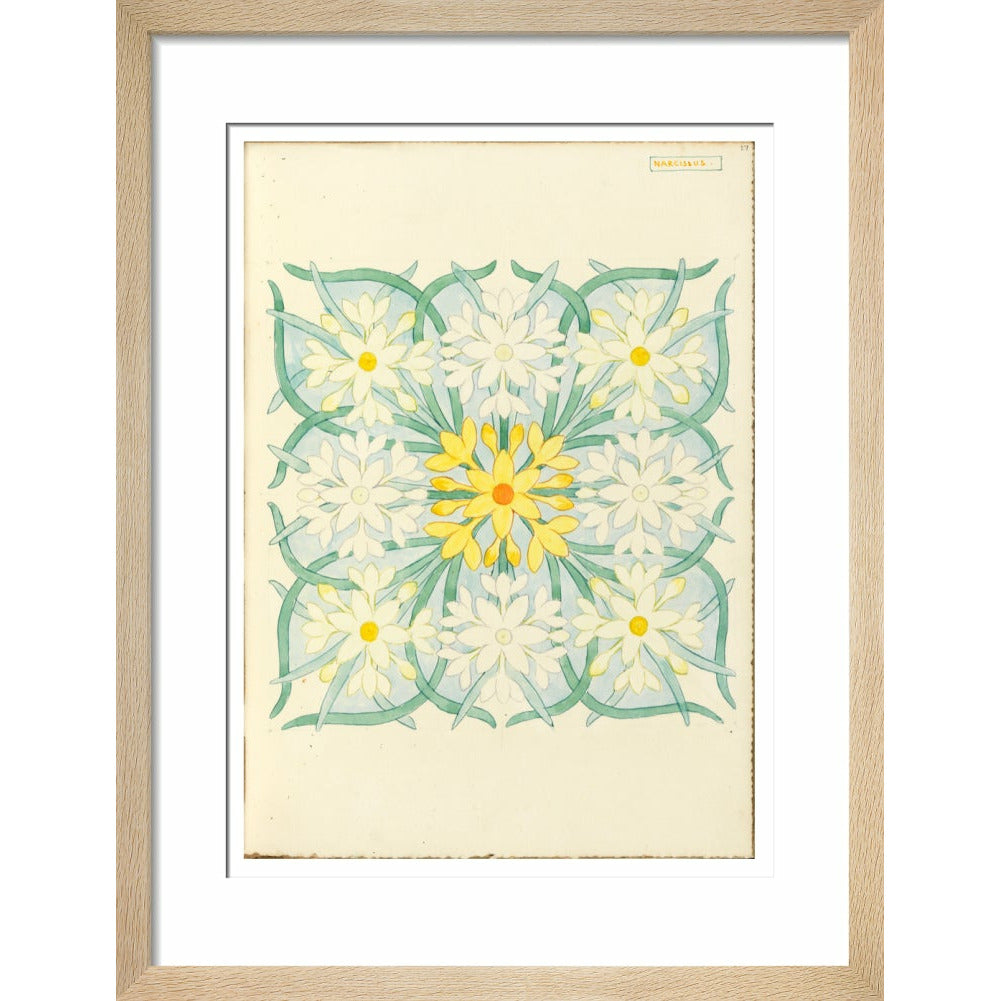 Narcissus - Art print