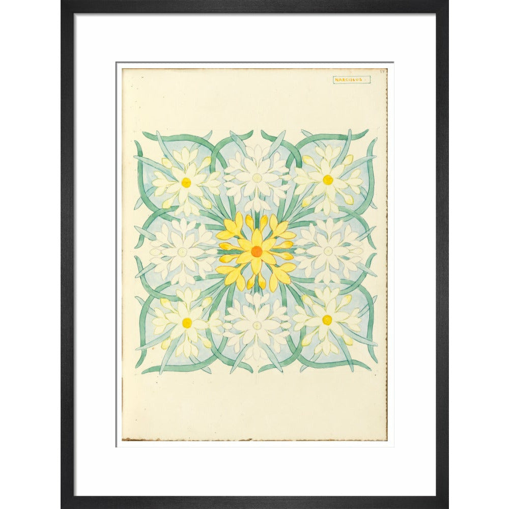 Narcissus - Art print