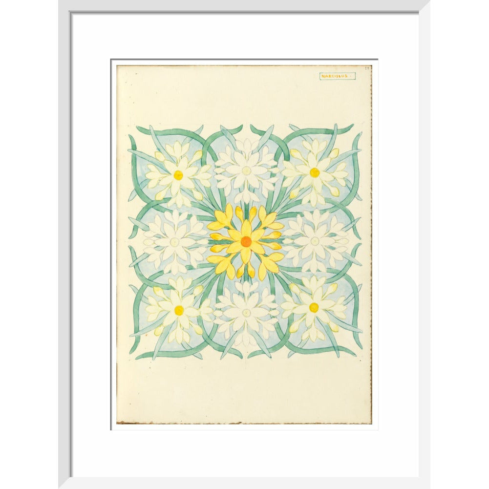 Narcissus - Art print