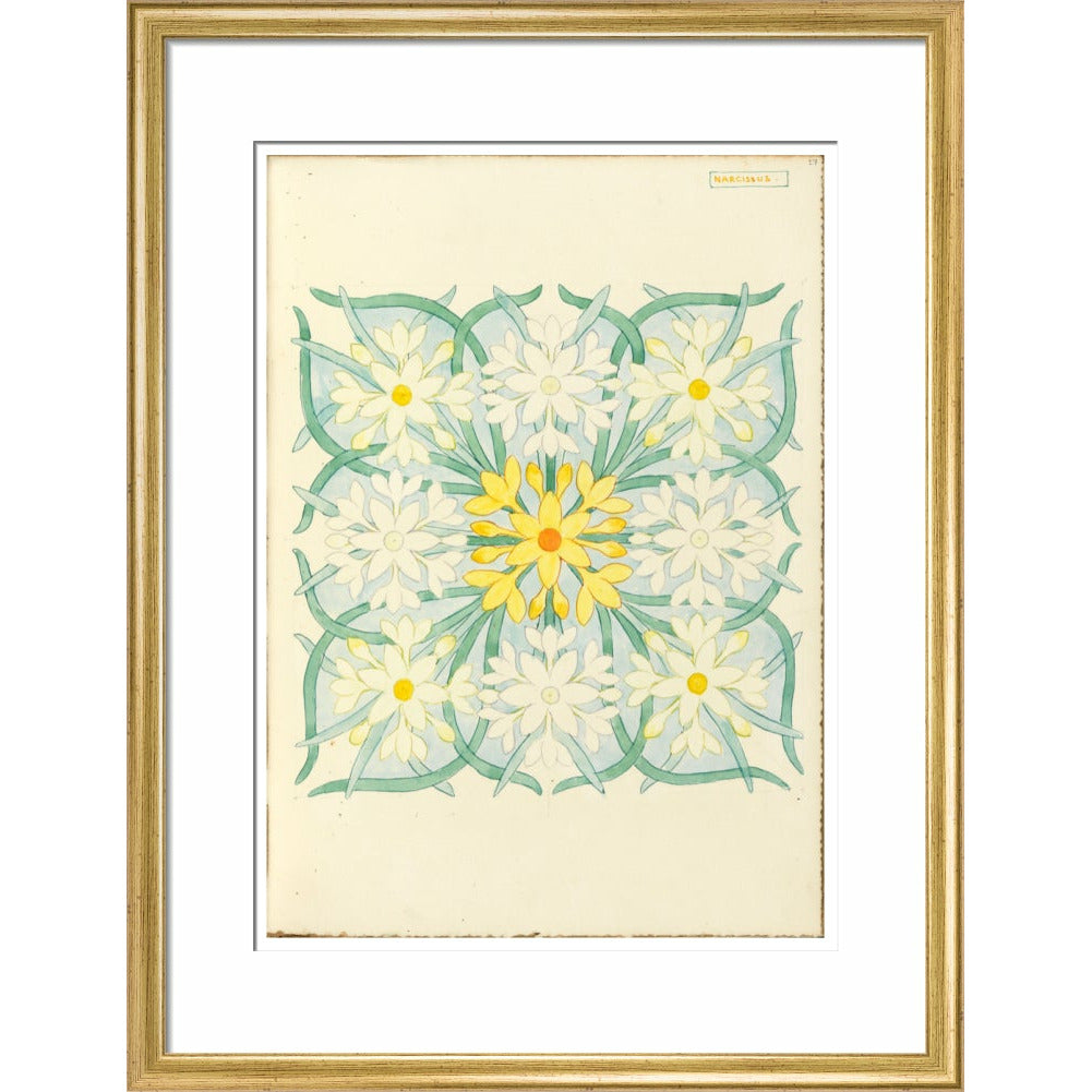 Narcissus - Art print