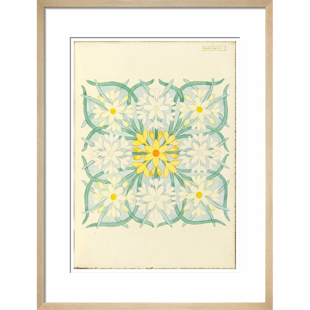 Narcissus - Art print