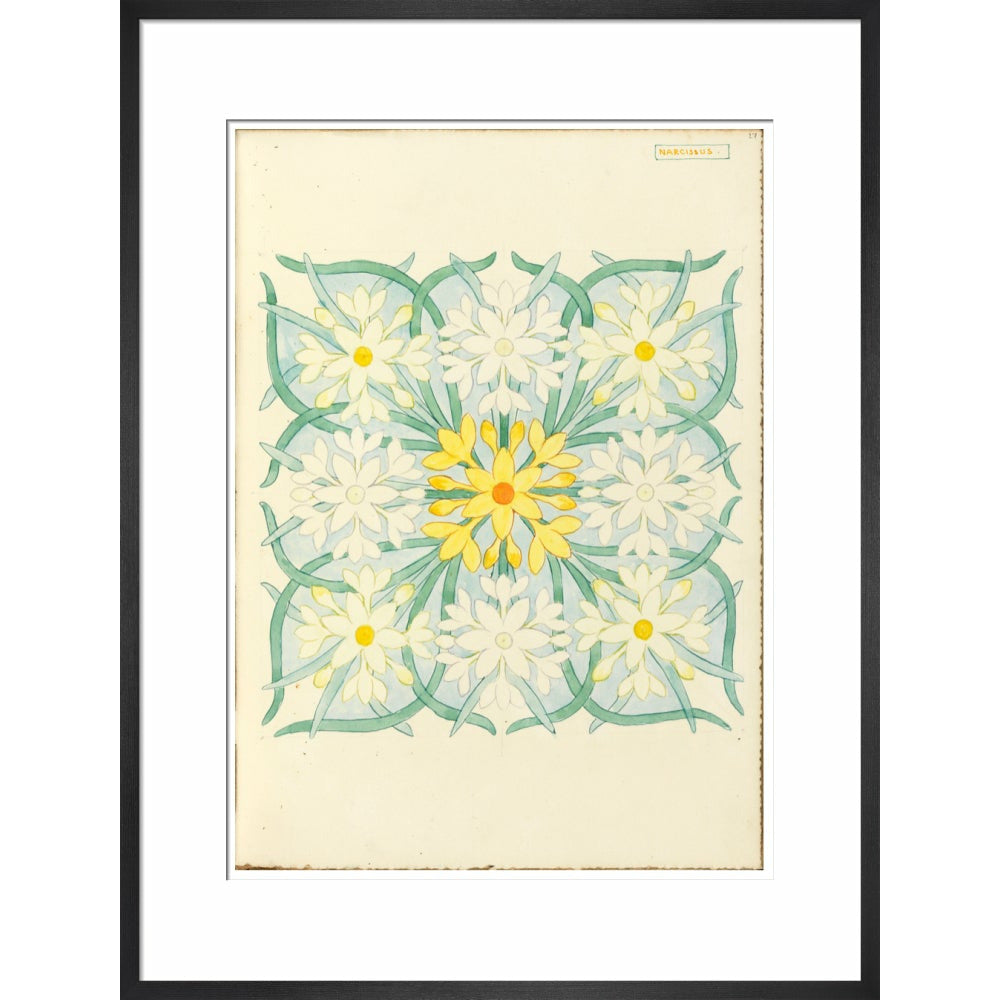 Narcissus - Art print