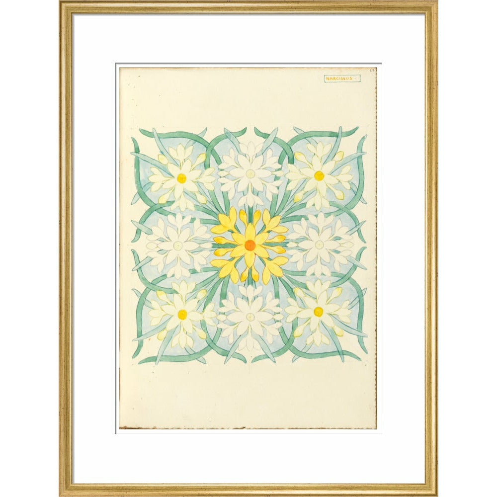 Narcissus - Art print