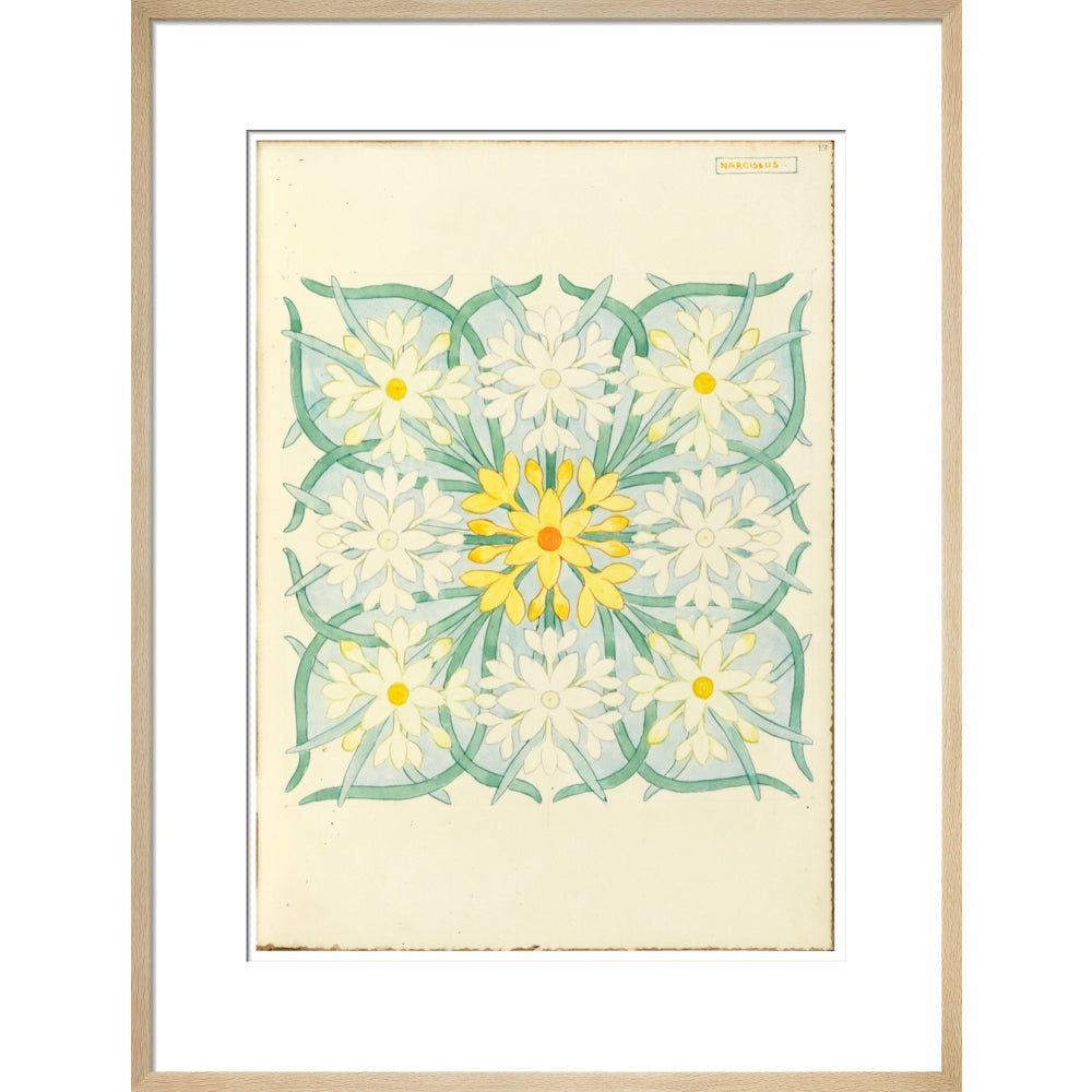 Narcissus - Art print