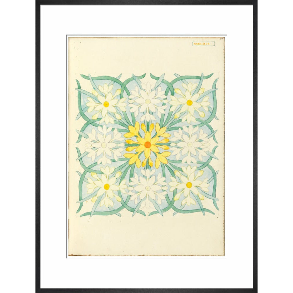 Narcissus - Art print