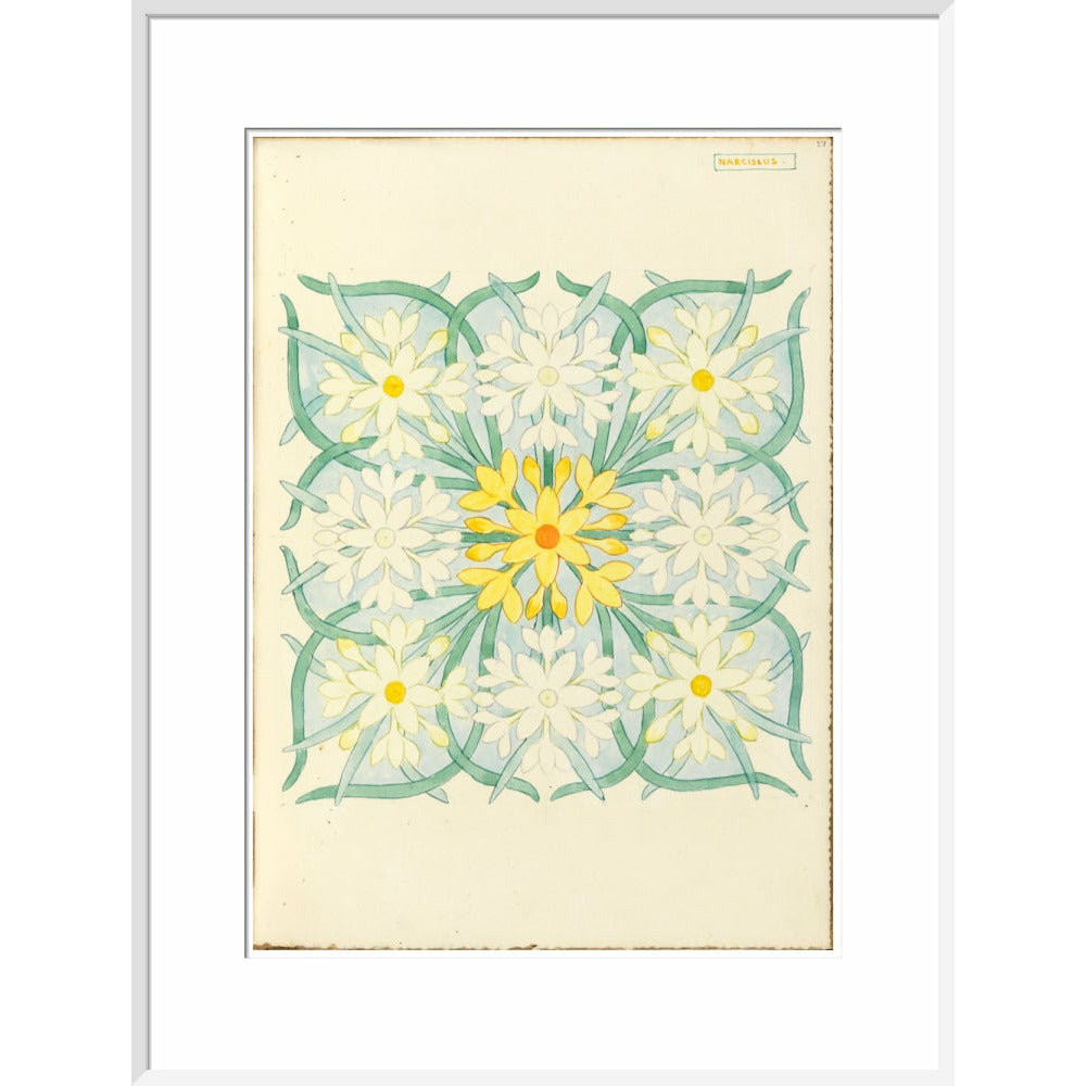 Narcissus - Art print