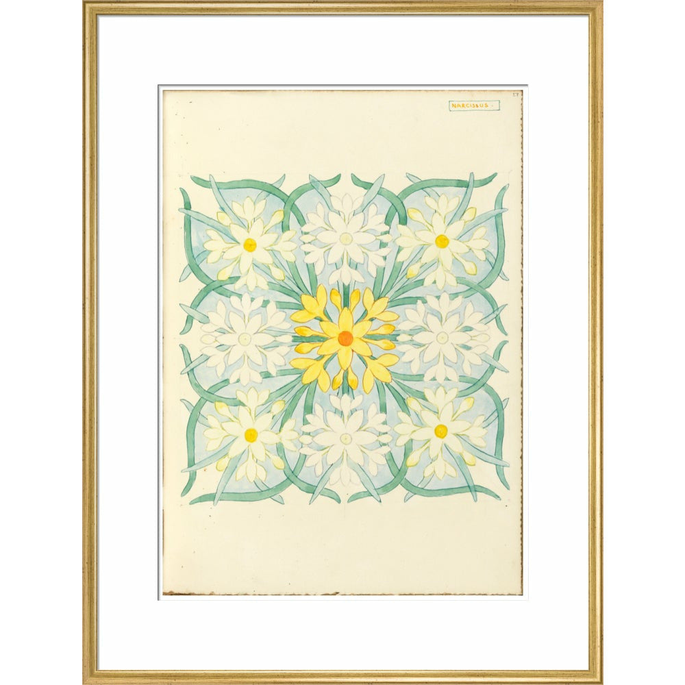 Narcissus - Art print