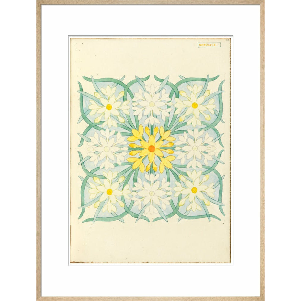 Narcissus - Art print