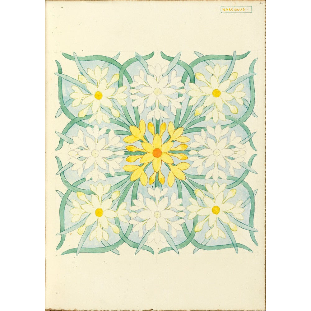 Narcissus - Art print