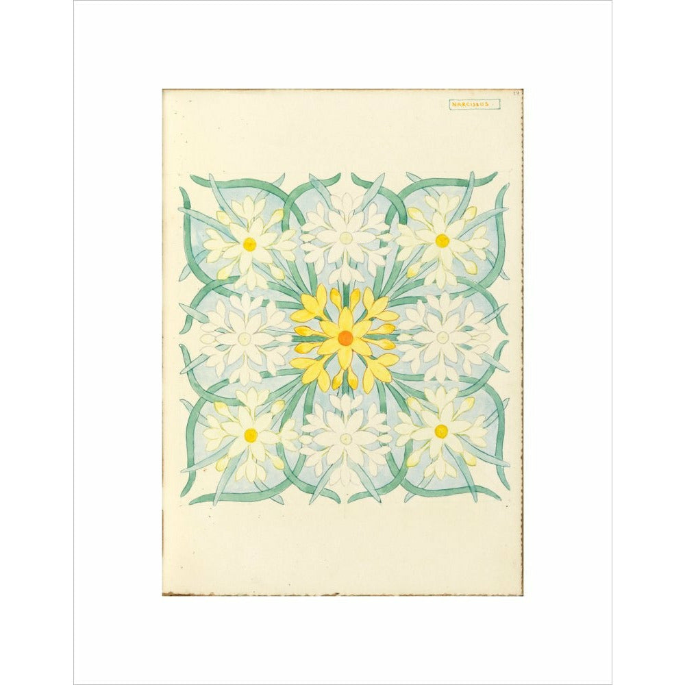 Narcissus - Art print