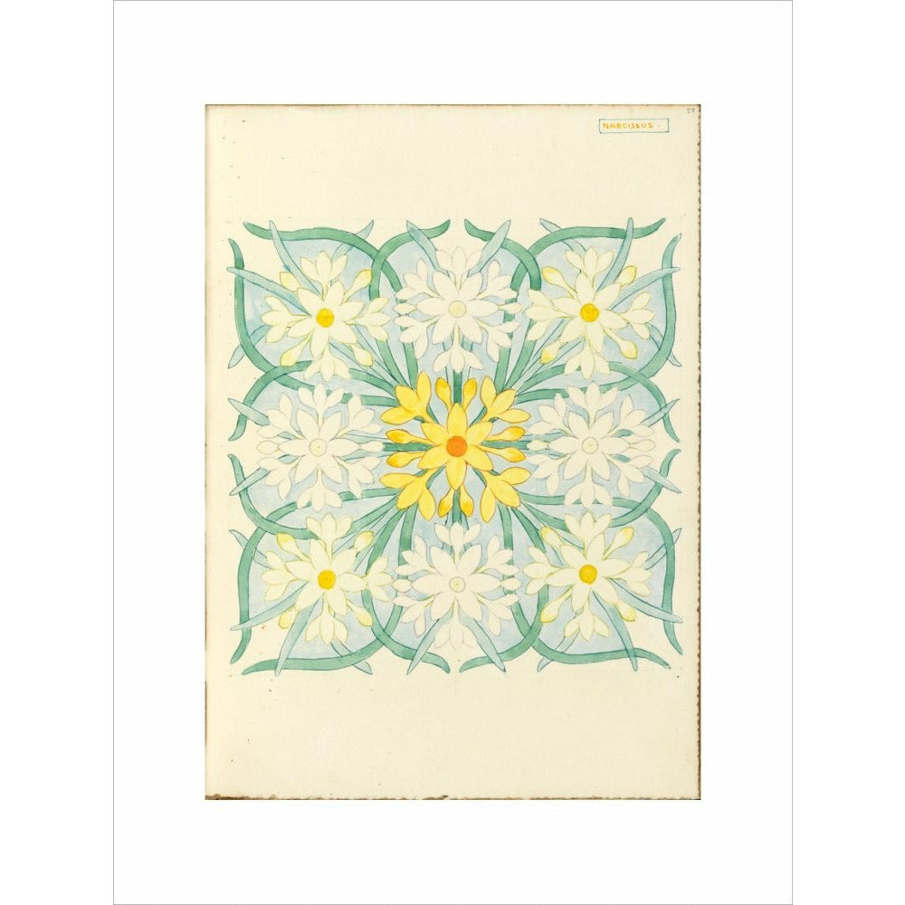 Narcissus - Art print