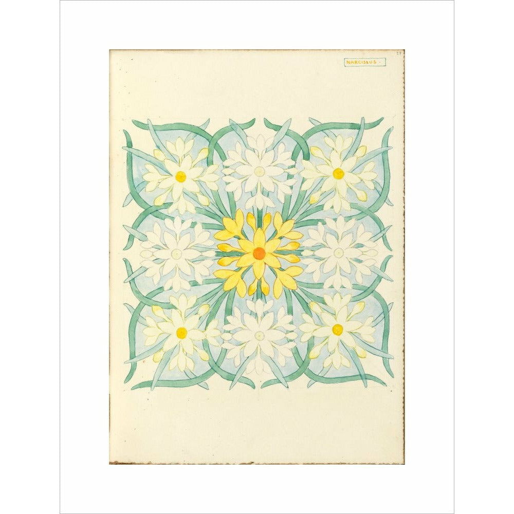 Narcissus - Art print