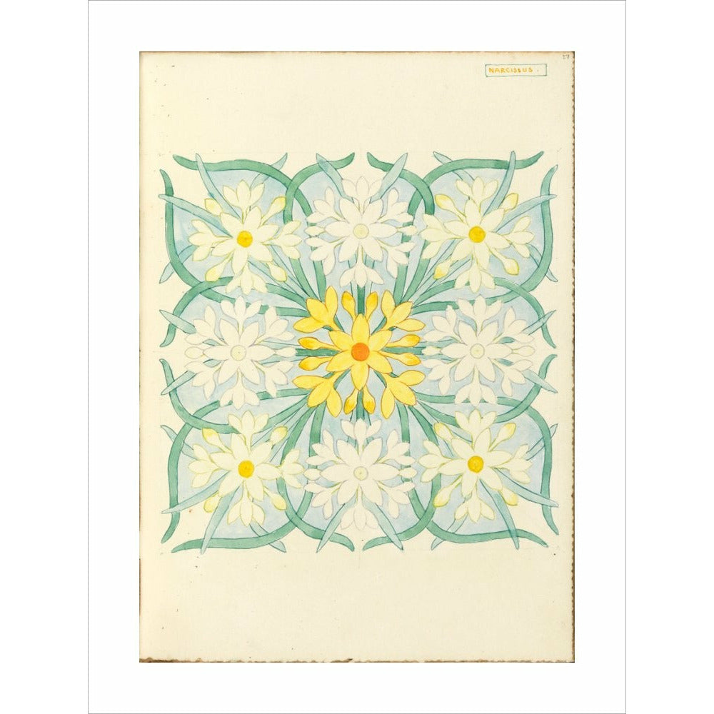 Narcissus - Art print