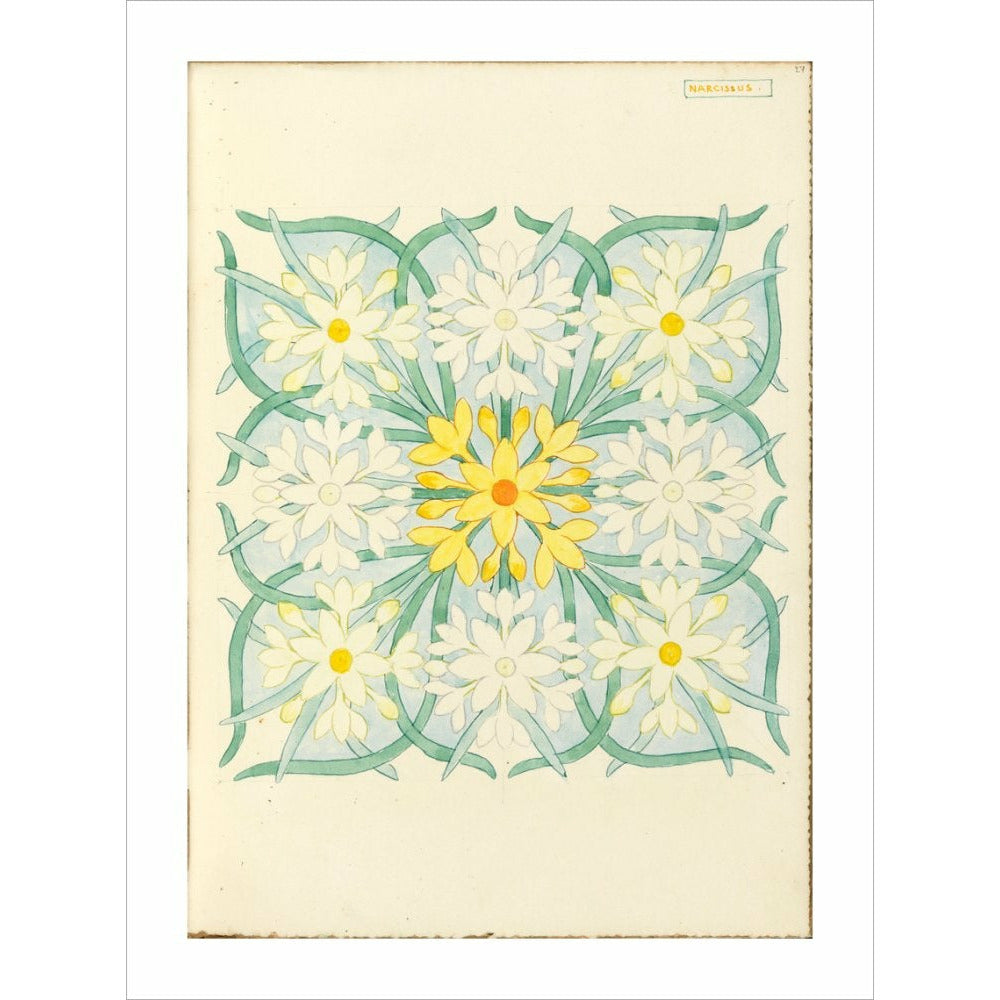 Narcissus - Art print