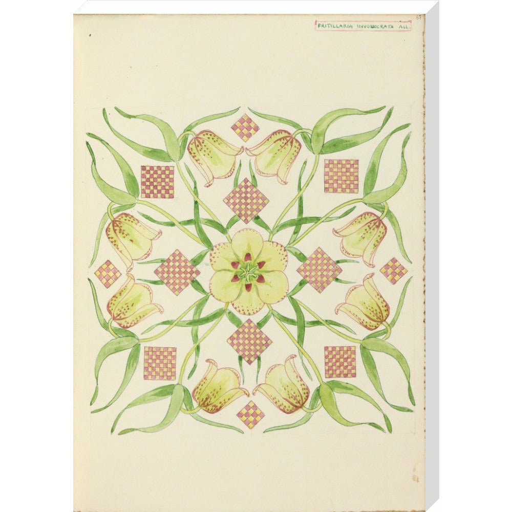 Alpine Fritillery - Art print