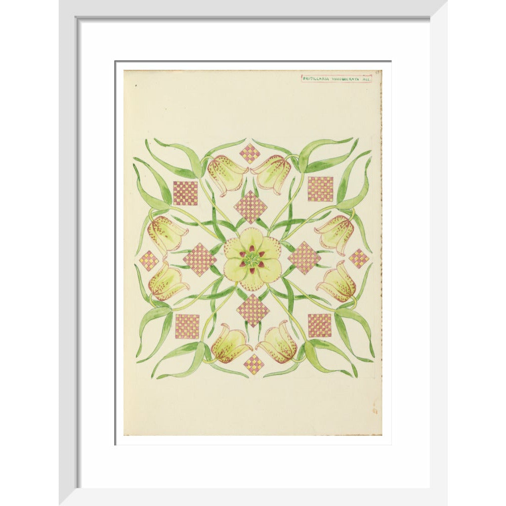 Alpine Fritillery - Art print