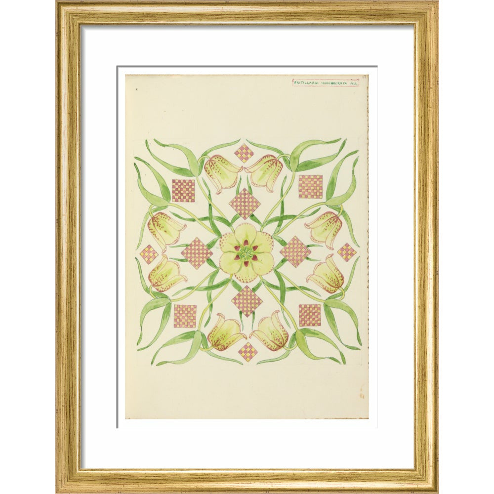 Alpine Fritillery - Art print