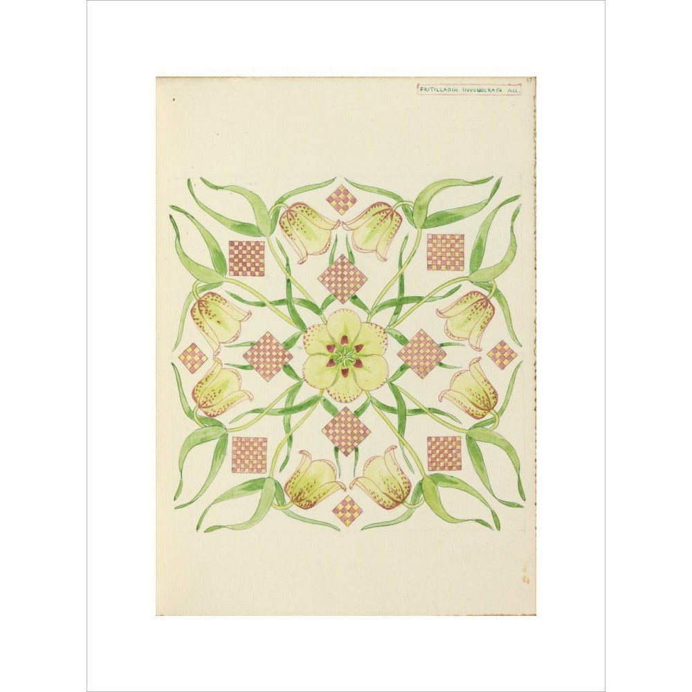Alpine Fritillery - Art print