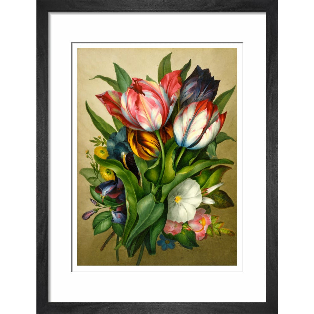 Spray of Tulips - Art print