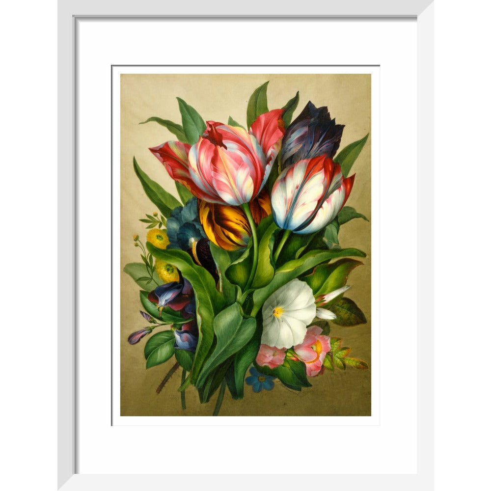 Spray of Tulips - Art print