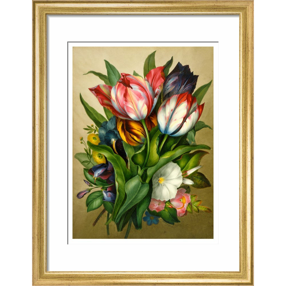 Spray of Tulips - Art print
