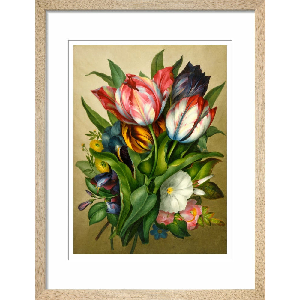 Spray of Tulips - Art print