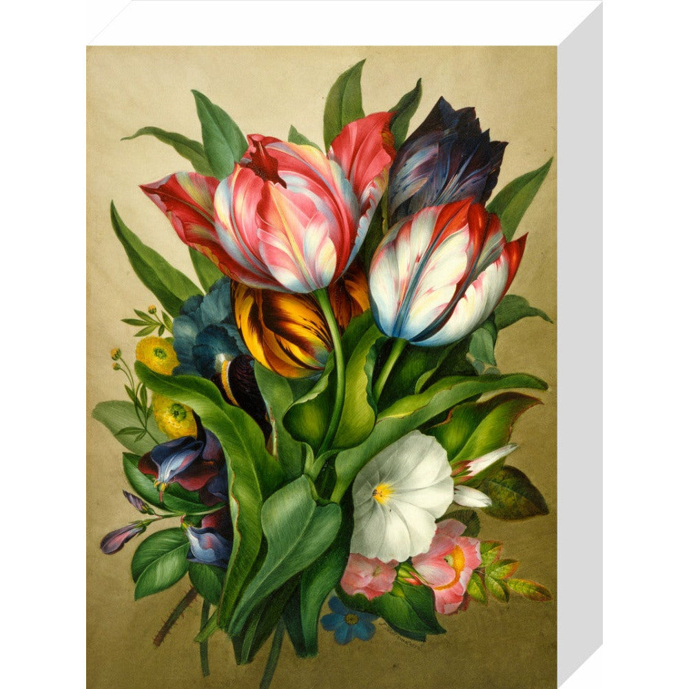 Spray of Tulips - Art print