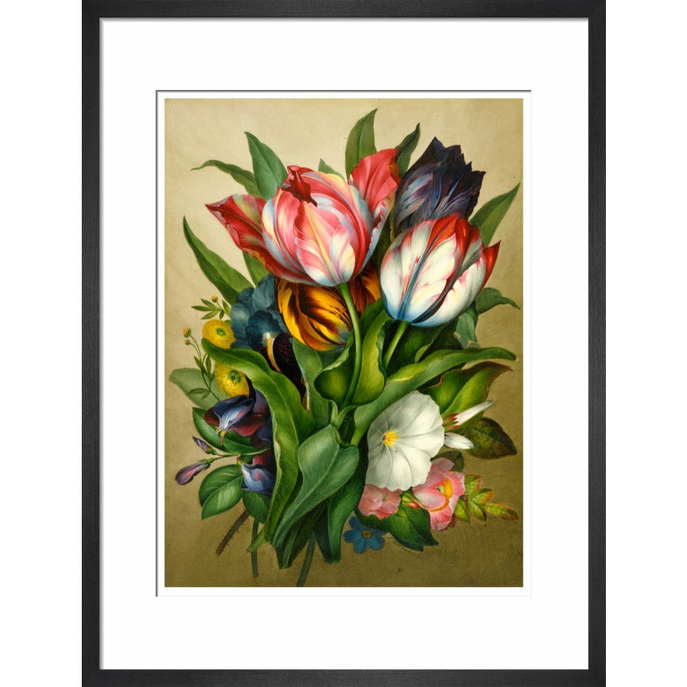 Spray of Tulips - Art print