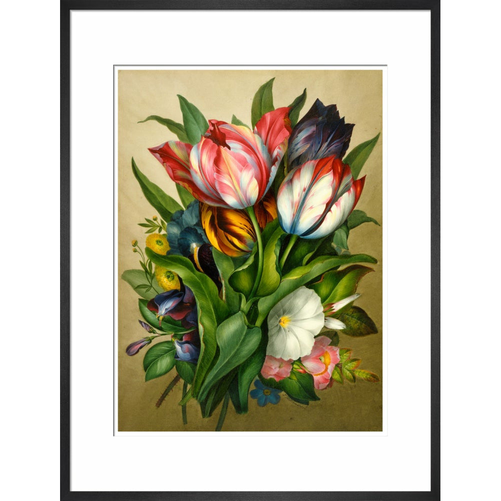 Spray of Tulips - Art print
