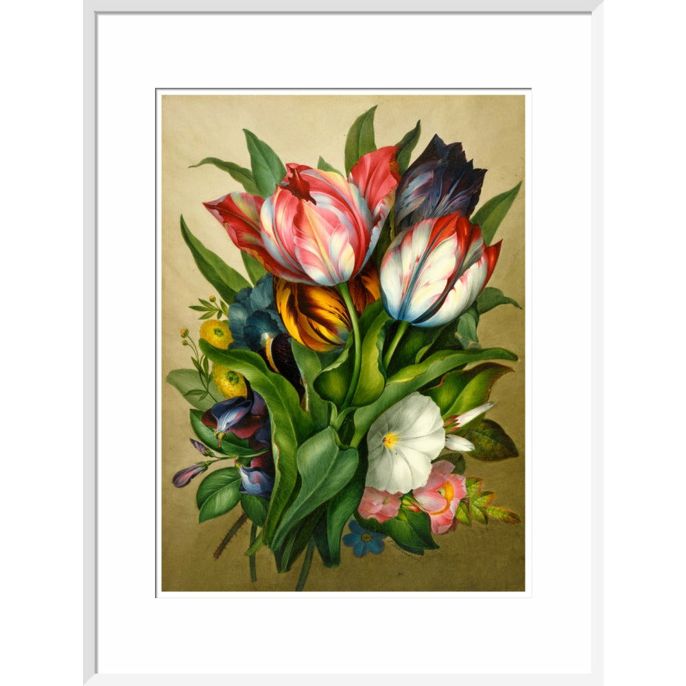 Spray of Tulips - Art print