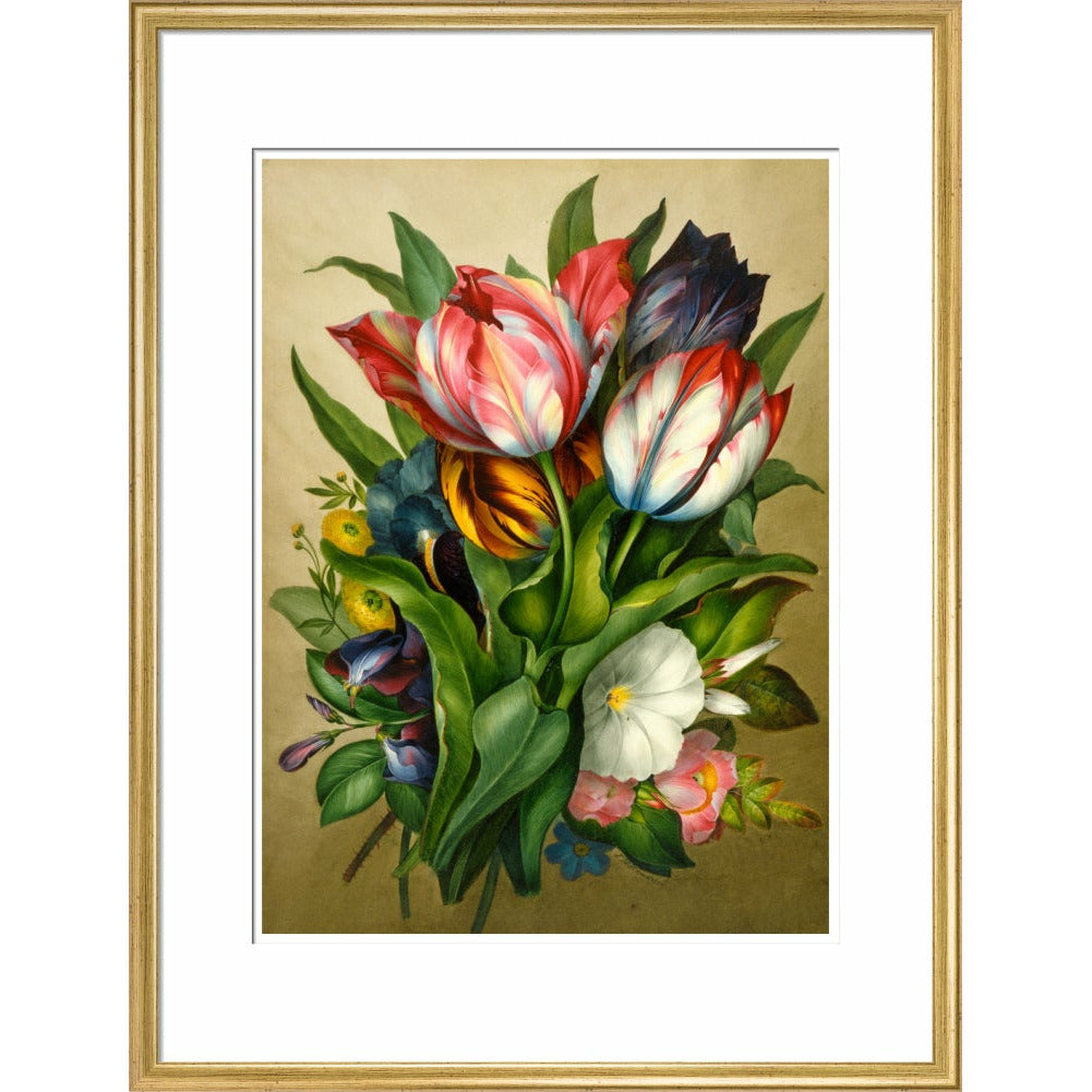 Spray of Tulips - Art print