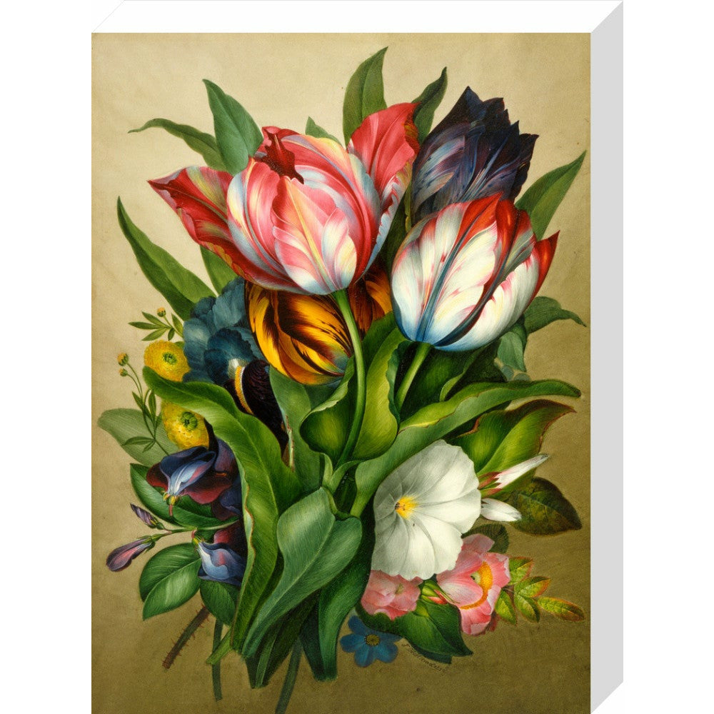 Spray of Tulips - Art print