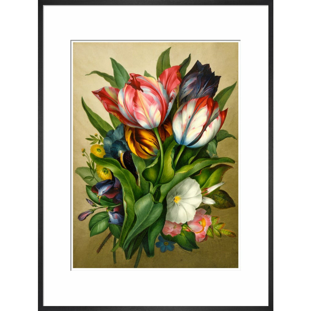 Spray of Tulips - Art print