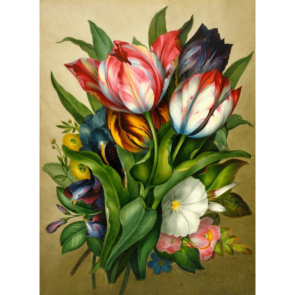 Spray of Tulips - Art print