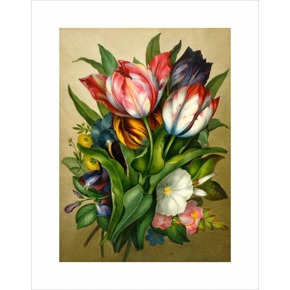 Spray of Tulips - Art print