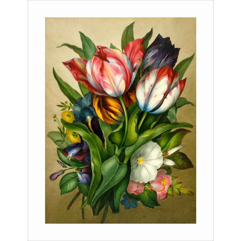 Spray of Tulips - Art print
