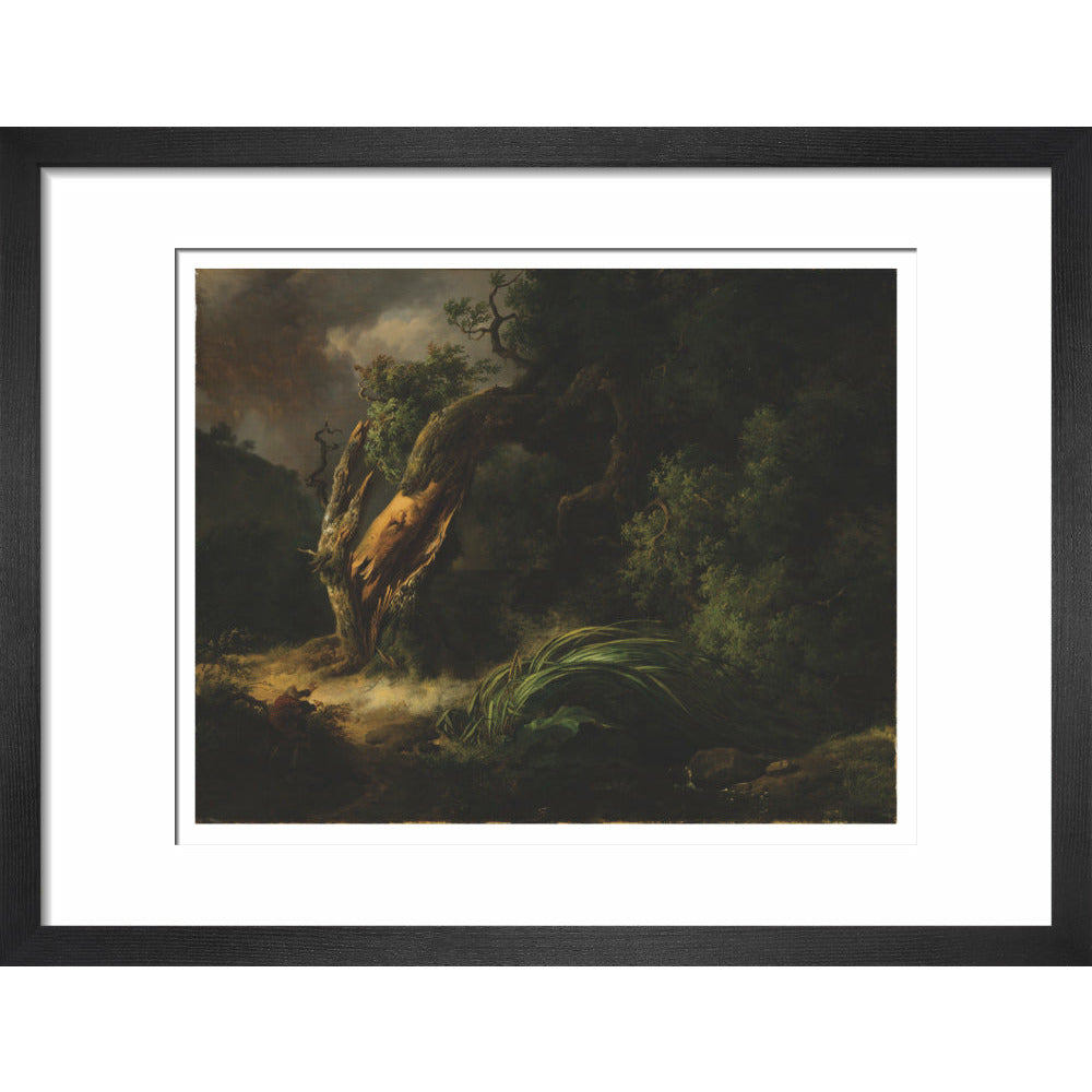 The Oak and the Reed - Art print