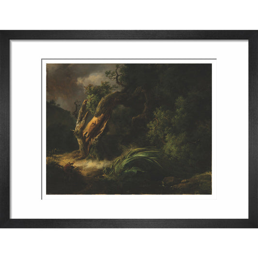 The Oak and the Reed - Art print
