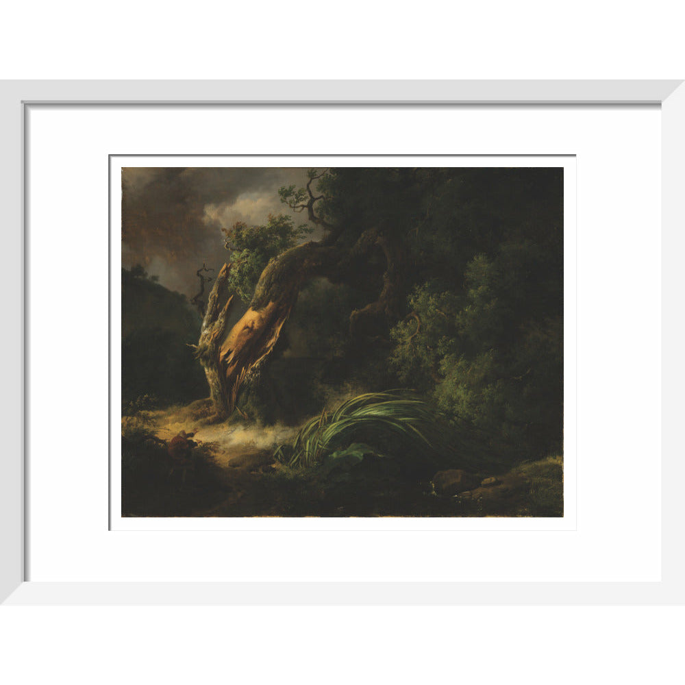The Oak and the Reed - Art print