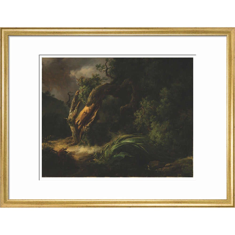 The Oak and the Reed - Art print