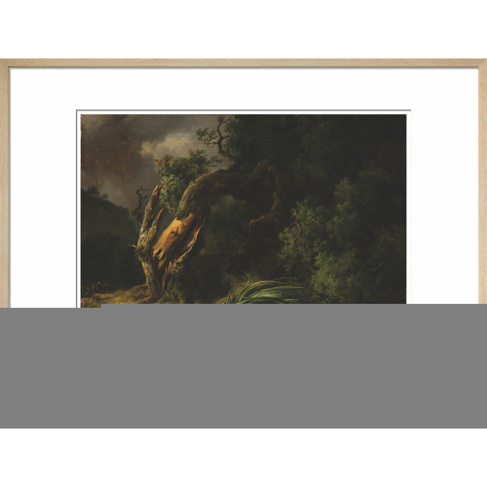 The Oak and the Reed - Art print