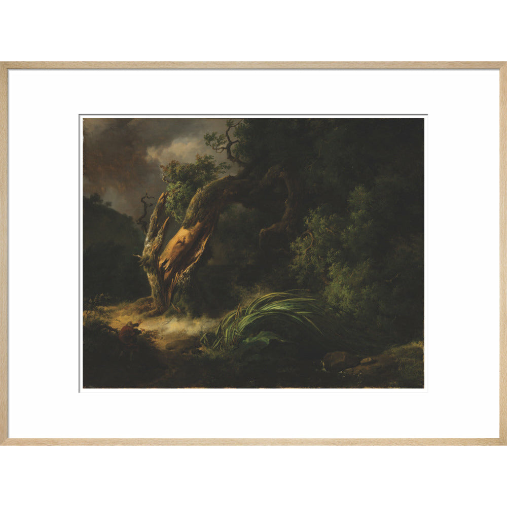 The Oak and the Reed - Art print