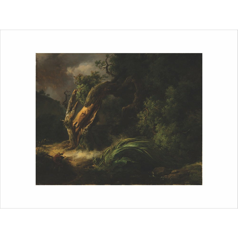 The Oak and the Reed - Art print