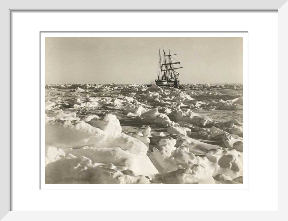 'Endurance' fast in the sea of ice - Art print