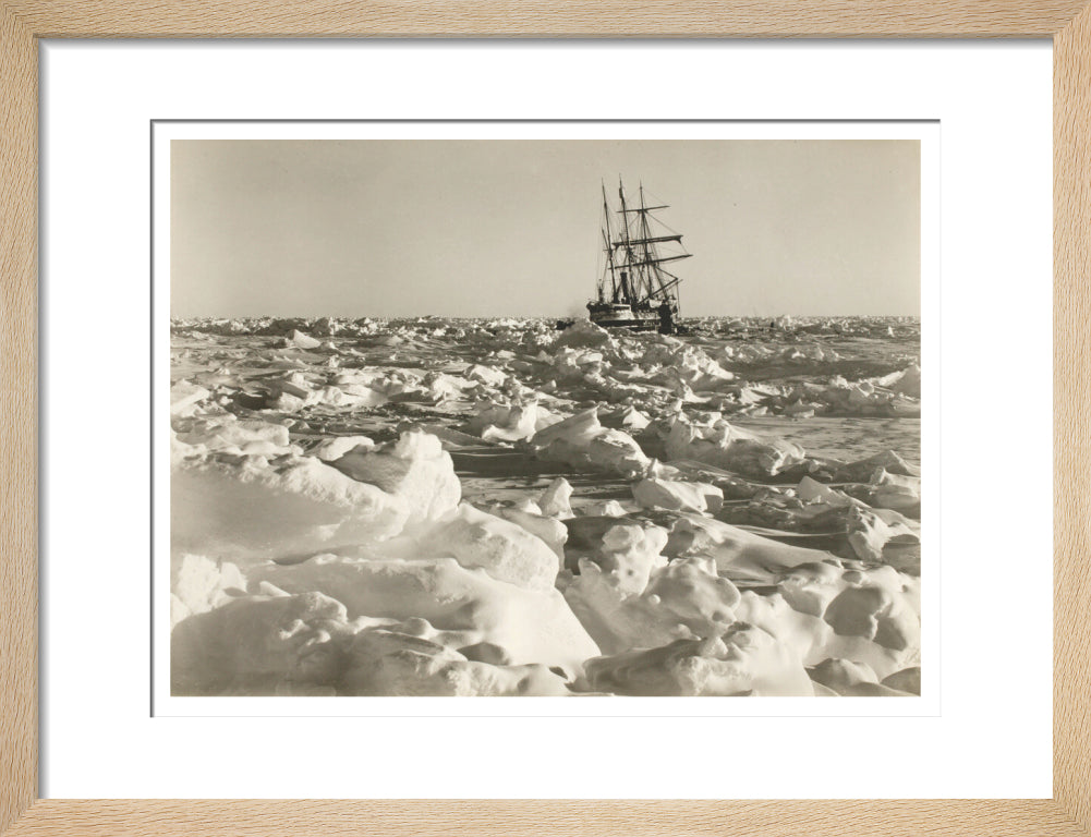 'Endurance' fast in the sea of ice - Art print