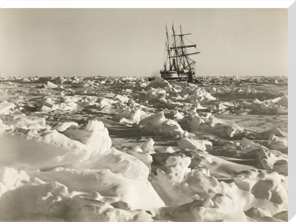 'Endurance' fast in the sea of ice - Art print