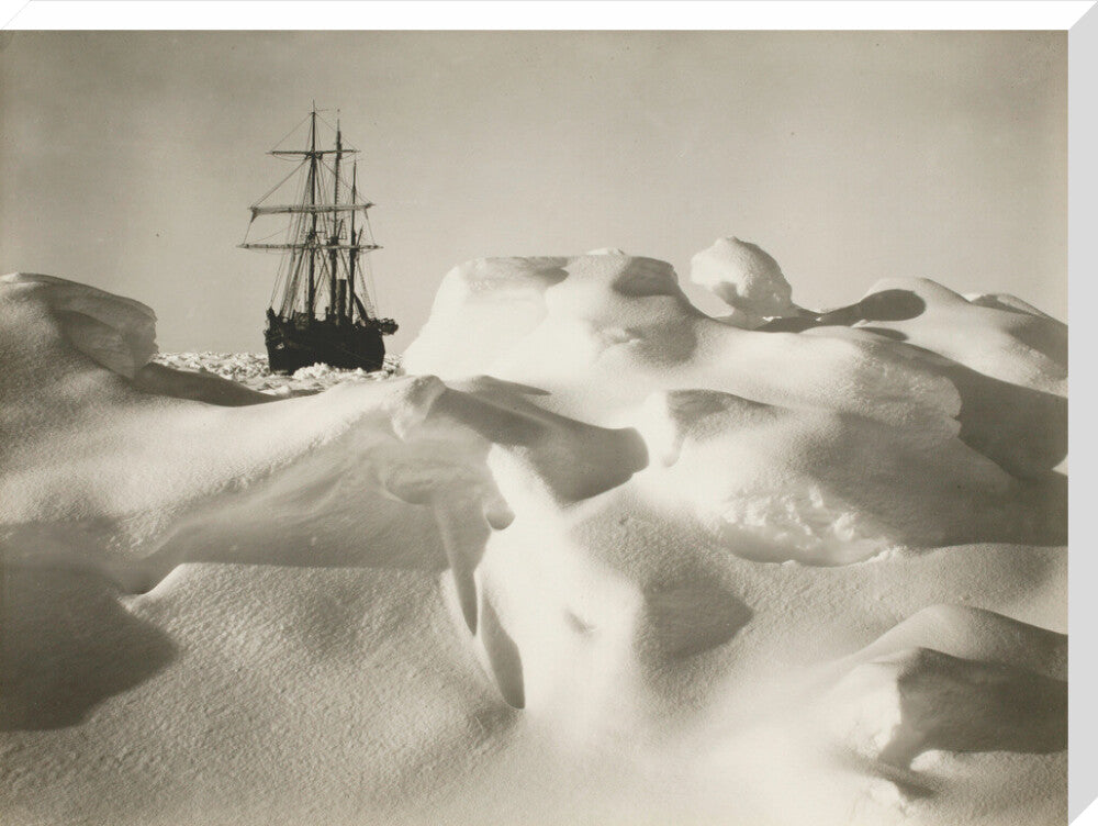 'Endurance' in the pack ice much resembling a billowy sea - Art print