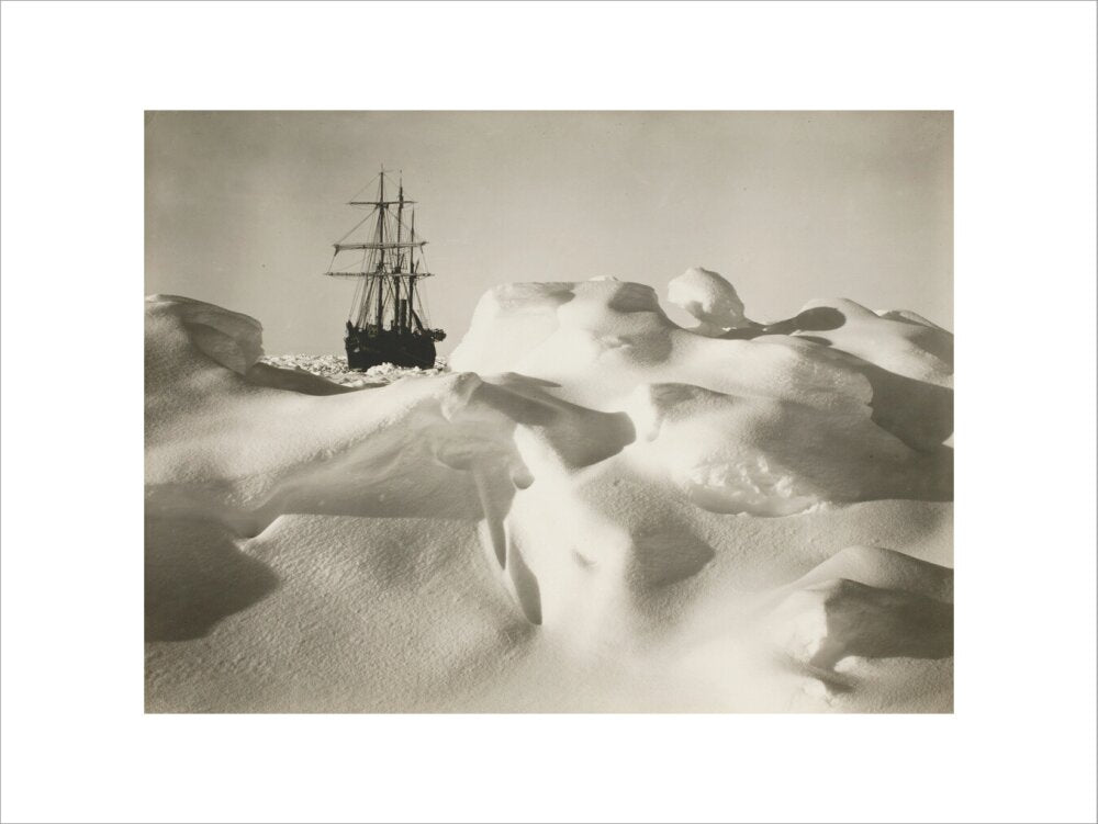 'Endurance' in the pack ice much resembling a billowy sea - Art print